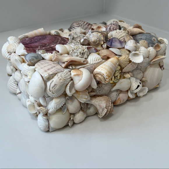 Handmade Seashell Embellished Jewelry/Trinket Box - Picture 5 of 13